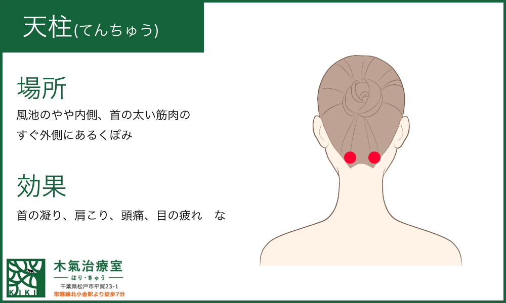 天柱(てんちゅう)