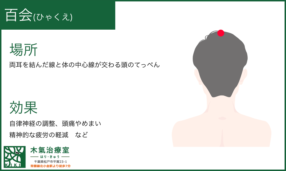 百会(ひゃくえ)