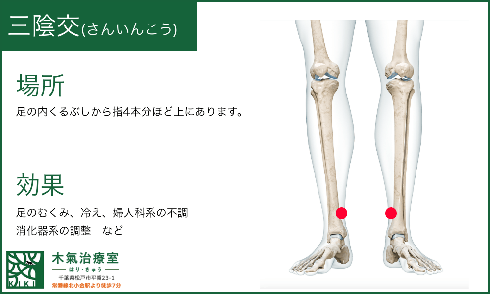 三陰交(さんいんこう)