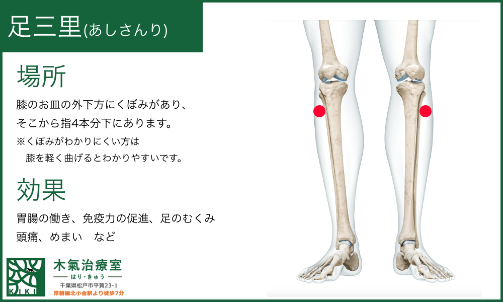 足三里(あしさんり)